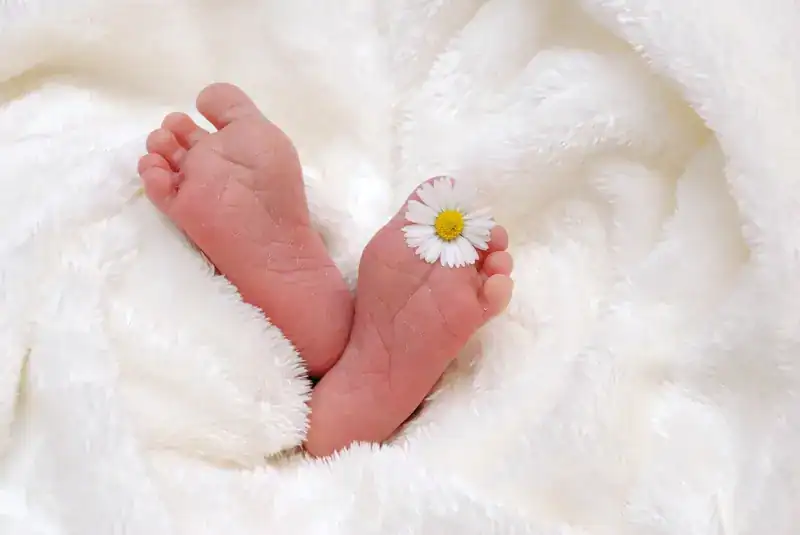 Zachte babyvoetjes met een kleine madeliefje, symbool van puurheid en nieuw leven.