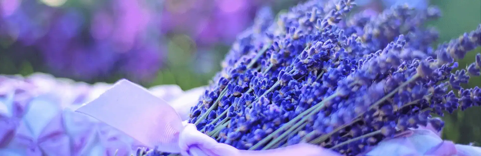 Lavendelbloemen in een rouwboeket, symbool voor herinnering en rust, verzorgd door De Dageraad Uitvaartverzorging.