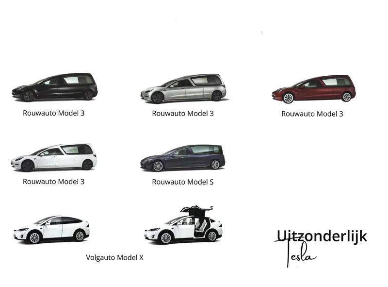 Uitzonderlijk Tesla